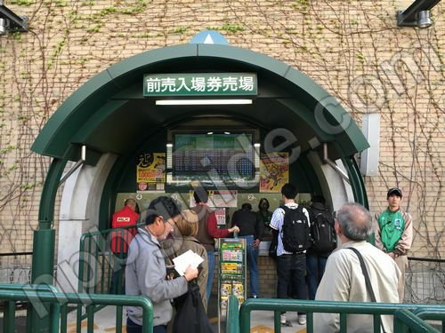 甲子園の前売り