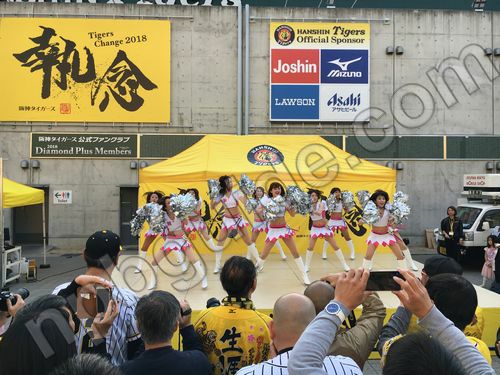 阪神タイガースチアリーダー