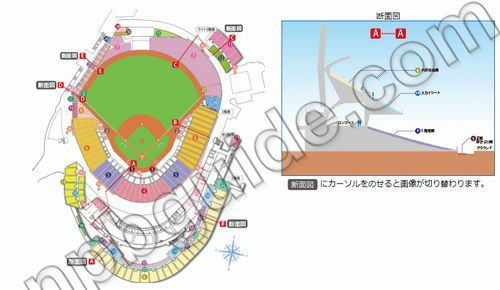 マツダスタジアムの楽しみ方や座席の案内など全て教えます プロ野球 楽しみ方